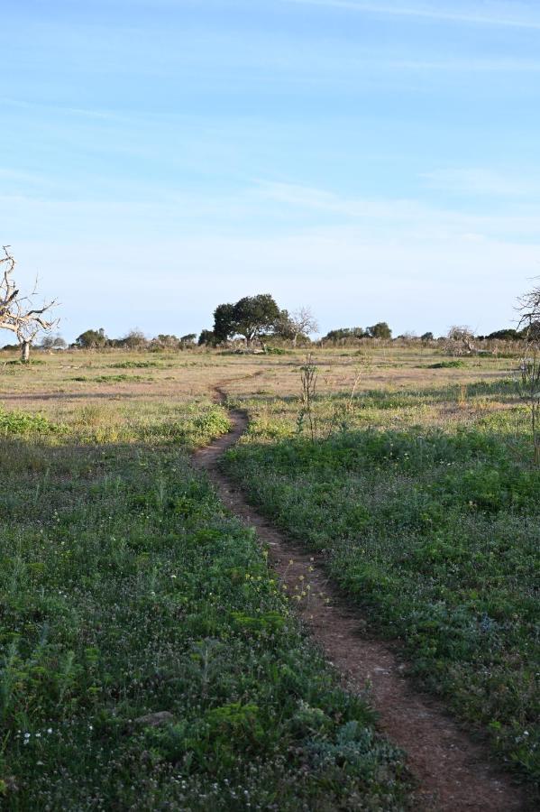 Finca Sa Cova Vella ماناكور المظهر الخارجي الصورة