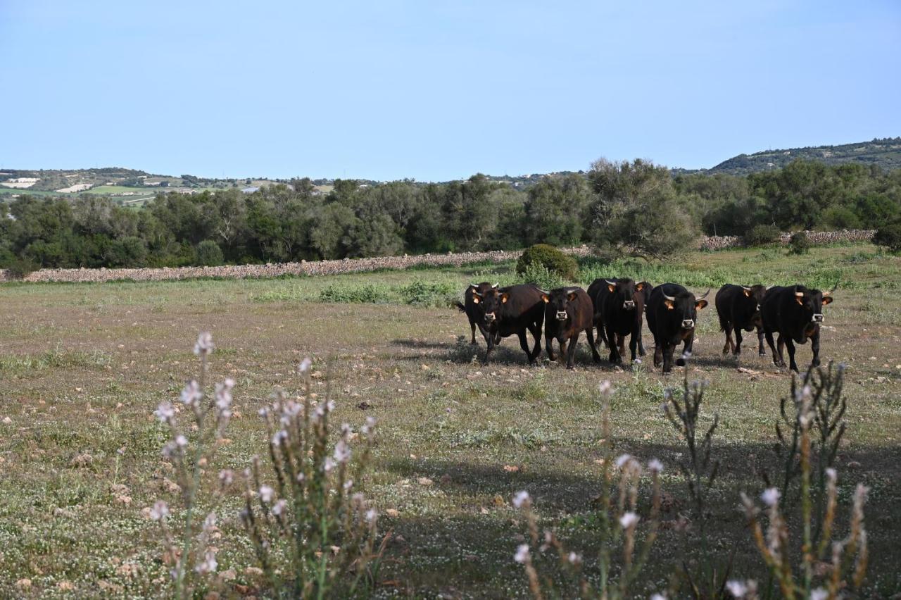 Finca Sa Cova Vella ماناكور المظهر الخارجي الصورة