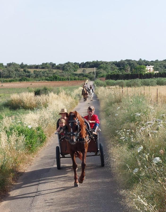 Finca Sa Cova Vella ماناكور المظهر الخارجي الصورة