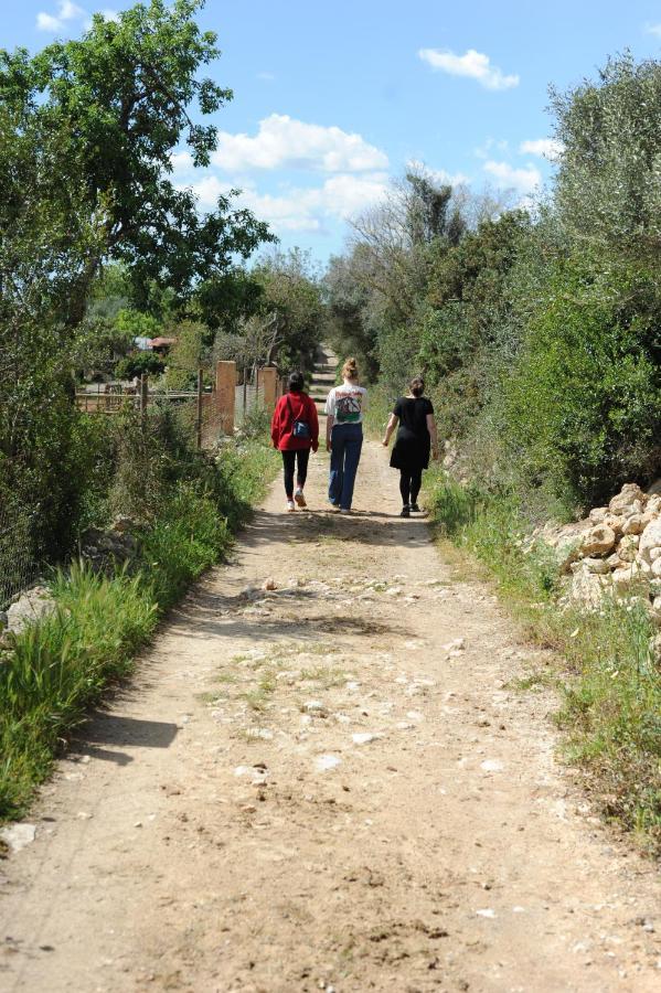 Finca Sa Cova Vella ماناكور المظهر الخارجي الصورة