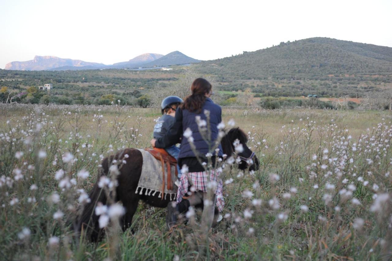 Finca Sa Cova Vella ماناكور المظهر الخارجي الصورة