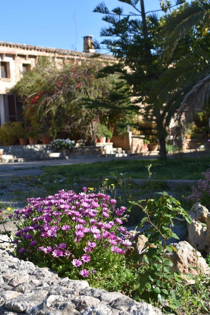 Finca Sa Cova Vella ماناكور المظهر الخارجي الصورة