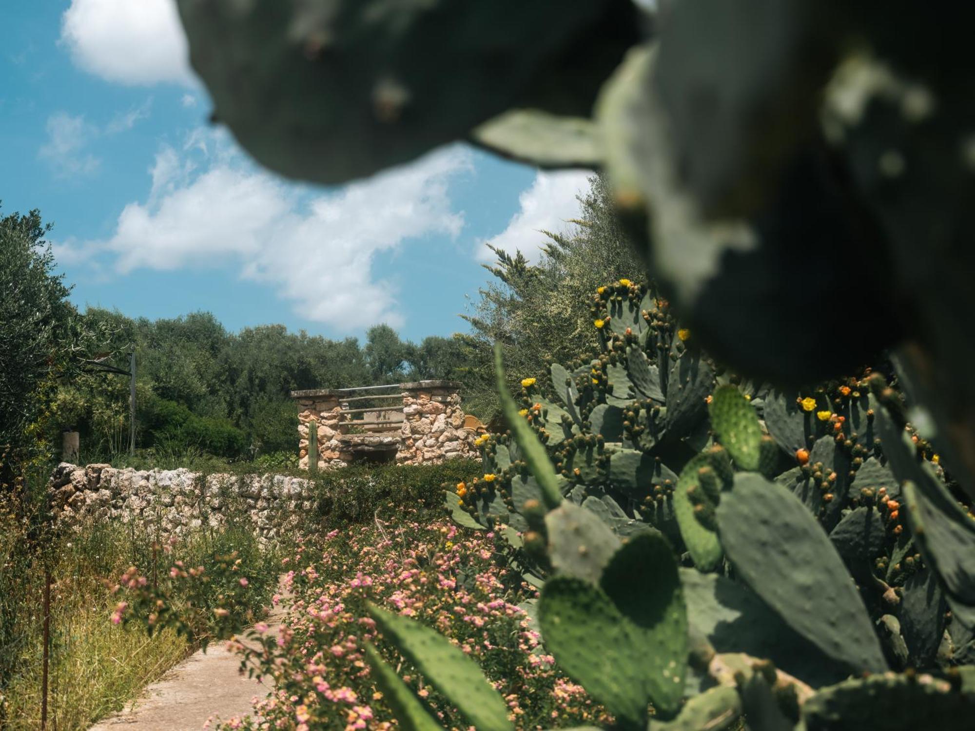 Finca Sa Cova Vella ماناكور المظهر الخارجي الصورة