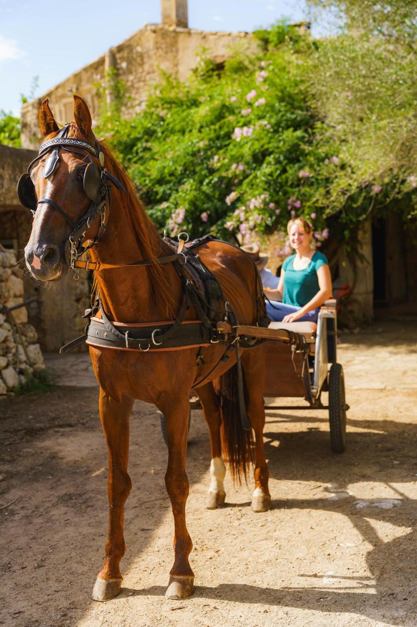 Finca Sa Cova Vella ماناكور المظهر الخارجي الصورة