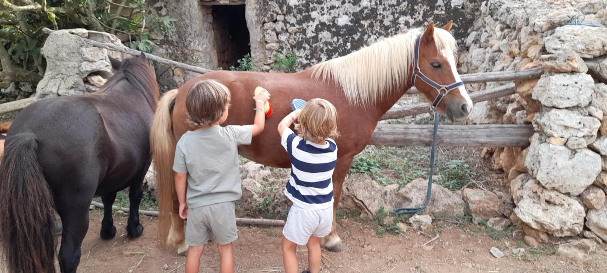 Finca Sa Cova Vella ماناكور المظهر الخارجي الصورة